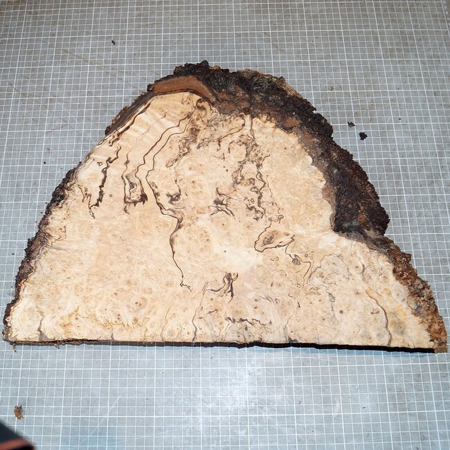 Ash burl, approx. 410 x 330 x 52mm, 3,3kg