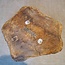 Teak (Plantation), approx. 510 x 510 x 55-90mm, 10kg