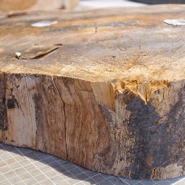 Teak (Plantation), approx. 510 x 510 x 55-90mm, 10kg