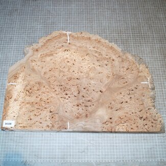 Kaukasische Rüster Maser, ca. 510 x 380 x 57mm, 4,1kg