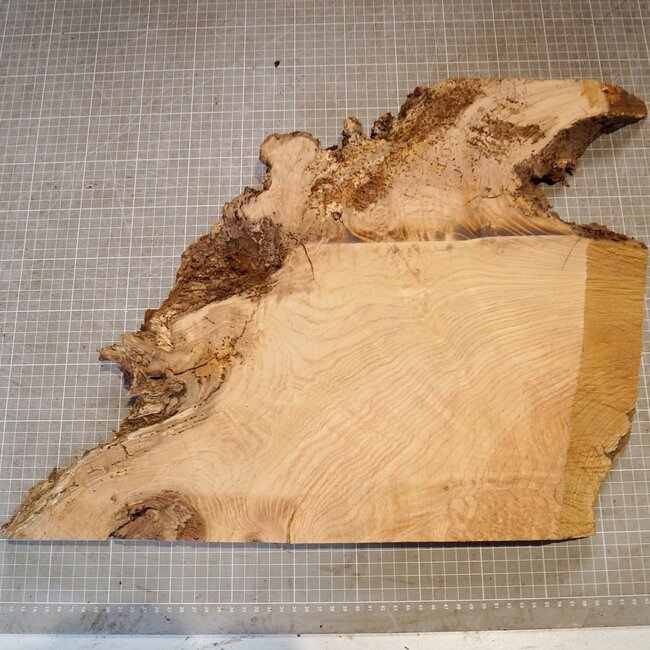 Esche Maser, ca. 400 x 380 x 47mm, 3,8kg