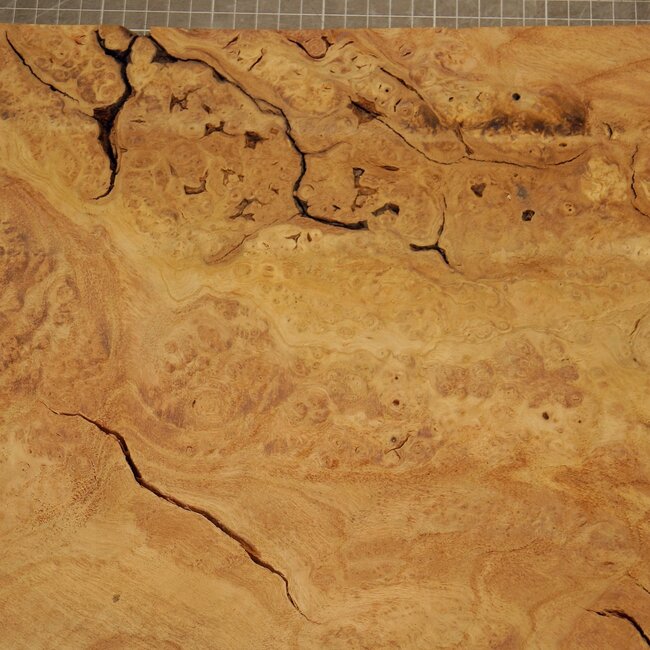 Esche Maser, ca. 430 x 380 x 45mm, 4kg