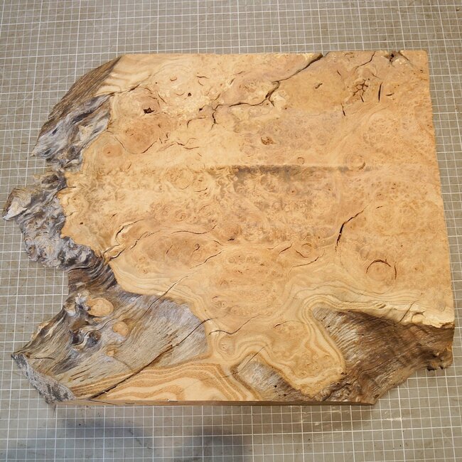 Ash burl, approx. 430 x 380 x 45mm, 4kg