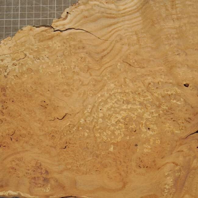 Eiche Maser, ca. 380 x 310 x 45mm, 1,9kg