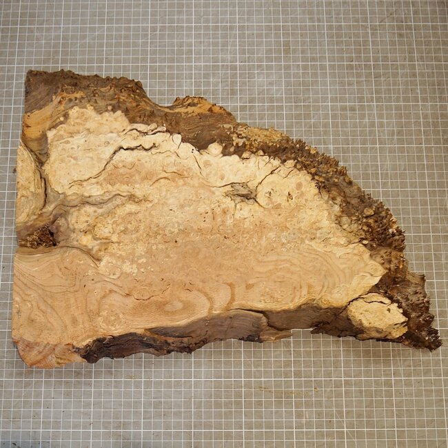 Eiche Maser, ca. 380 x 310 x 45mm, 1,9kg