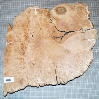 Oak Burl, approx. 370 x 330 x 45mm, 2,6kg