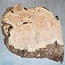 Eiche Maser, ca. 370 x 330 x 45mm, 2,6kg