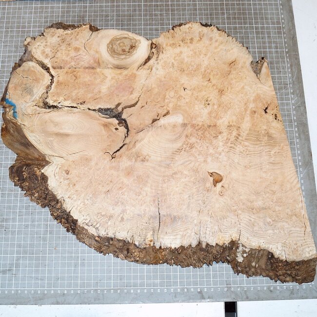 Oak Burl, approx. 420 x 370 x 44mm, 3,6kg