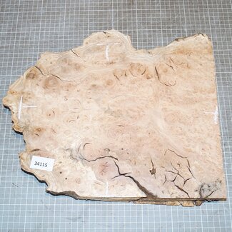 Oak Burl, approx. 340 x 280 x 45mm, 2,2kg