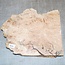 Eiche Maser, ca. 340 x 280 x 45mm, 2,2kg