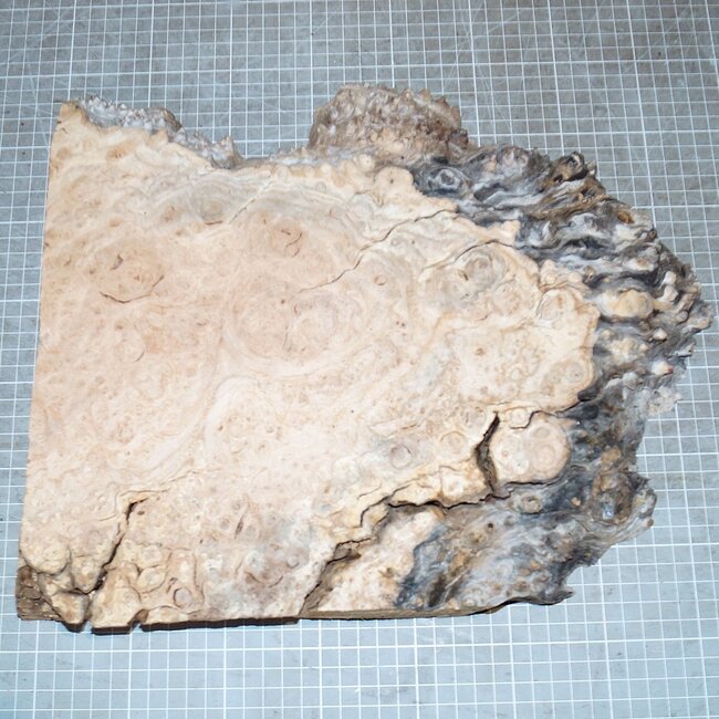 Eiche Maser, ca. 340 x 280 x 45mm, 2,2kg