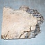 Eiche Maser, ca. 340 x 280 x 45mm, 2,2kg