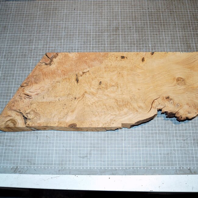 Eiche Maser, ca. 520 x 240 x 45mm, 3,6kg