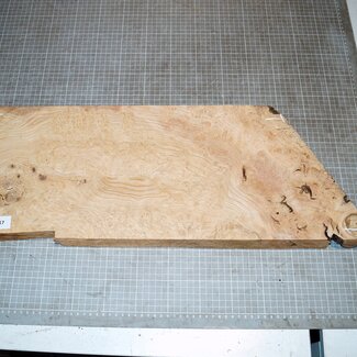 Eiche Maser, ca. 610-510 x 230 x 45mm, 4,2kg