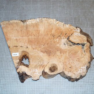 Eiche Maser, ca. 390-500 x 370 x 46mm, 4,4kg