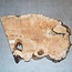 Eiche Maser, ca. 390-500 x 370 x 46mm, 4,4kg