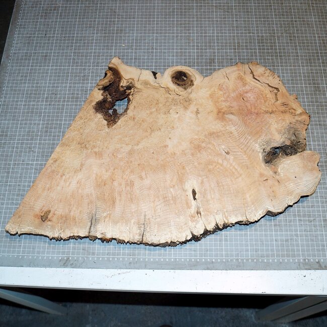 Oak Burl, approx. 390-500 x 370 x 46mm, 4,4kg