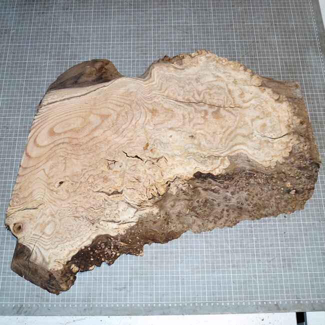 Oak Burl, approx. 610 x 385/485 x 45mm, 4,8kg