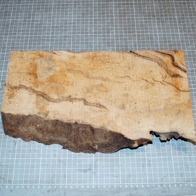 Eiche Maser, ca. 360 x 190 x 55mm, 2,3kg