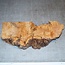 Oak Burl, approx. 440 x 190 x 60mm, 3,1kg