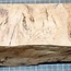 Eiche Maser, ca. 440 x 190 x 60mm, 3,1kg