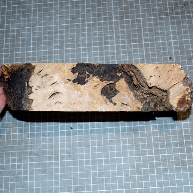Eiche Maser, ca. 250 x 135 x 62mm, 1kg