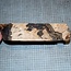 Oak Burl, approx. 250 x 135 x 62mm, 1kg