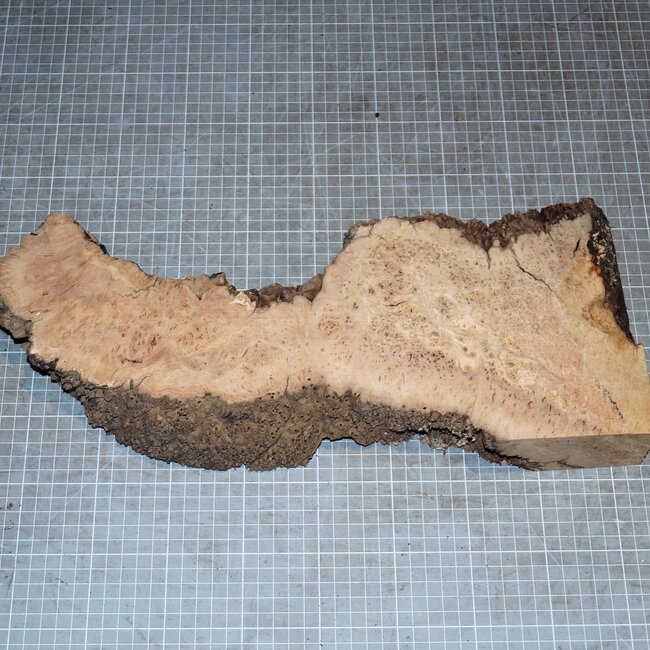 Eiche Maser, ca. 395 x 105-160 x 60mm, 2,4kg