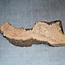 Oak Burl, approx. 395 x 105-160 x 60mm, 2,4kg