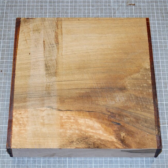 Nussbaum europ., ca. 285 x 285 x 60mm, 3kg