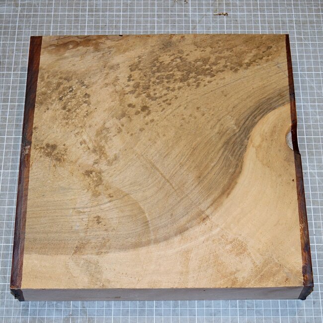 Nussbaum europ., ca. 340 x 340 x 60mm, 4,2kg