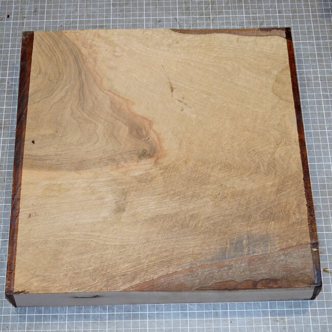 Nussbaum europ., ca. 375 x 375 x 55-60mm, 4,7kg