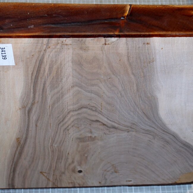 Nussbaum europ., ca. 375 x 375 x 55-60mm, 4,7kg