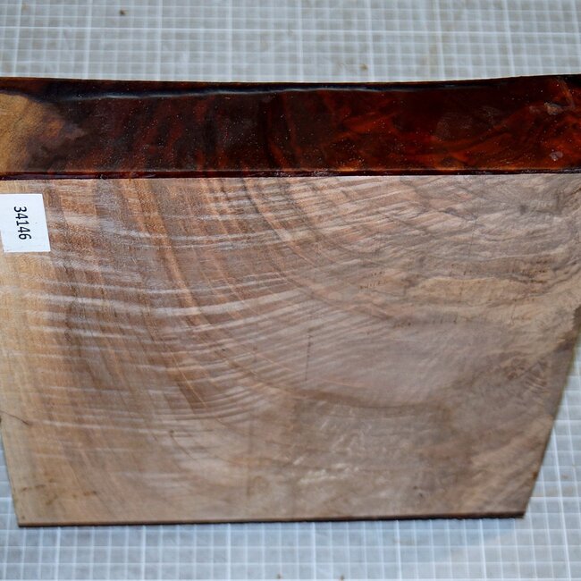 Nussbaum Riegel, kaukasisch, ca. 295 x 295 x 55-62mm, 3,4kg