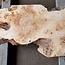 Pappel Maser Tischplatte, ca. 1810  x 490/610 x 60mm