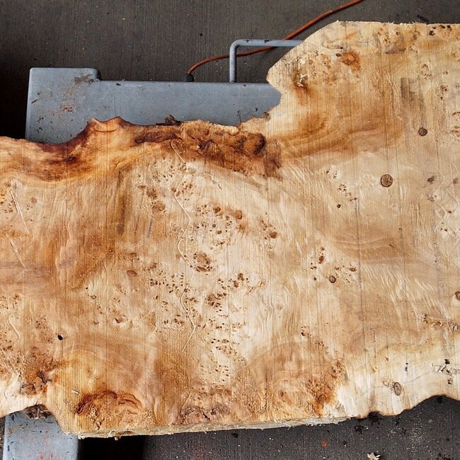 Pappel Maser Tischplatte, ca. 1810  x 490/610 x 60mm