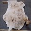 Pappel Maser, ca. 1200 x 940/740 x 75 mm, 13585