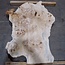 Pappel Maser, ca. 1200 x 940/740 x 75 mm, 13585