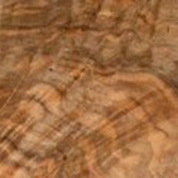 Nussbaum, kaukasisch