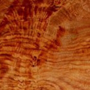 Palisander, HONDURAS Palisander