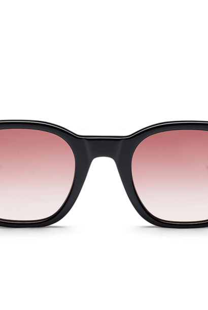 Lesdain Black Sunglasses M995