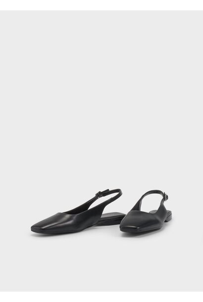 Delia Black Ballerina Leather Shoes
