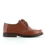 Eli 7813 chacal roble