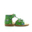 Zecchino d'oro A01-056 moto aloe