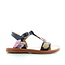 Pom d'api Plagetie colibri marine