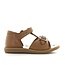 Pom d'api Poppy easy camel 2