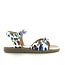 Gallucci 455 multicolor