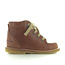 Angulus 2361-101 cognac