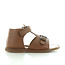 Zecchino d'oro A23-2456 sienne