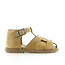 Zecchino d'oro A01-065 golden glow